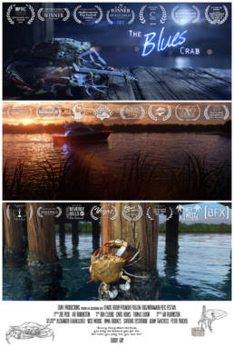 The Blues Crab Poster